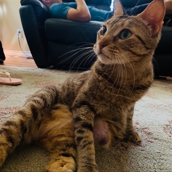 PLEASE READ & SHARE - Picture 4 of 5